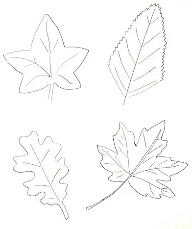Comment dessiner les feuilles d'automne ? – Les cours de dessin de Florence