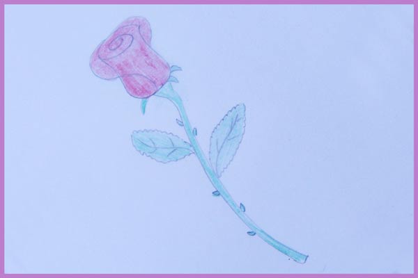 dessin-rose