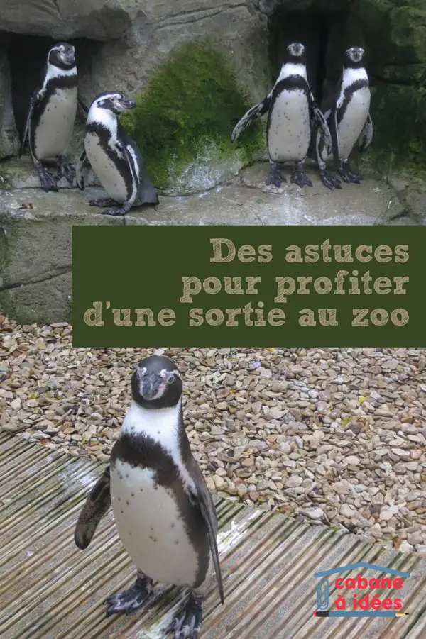 astuces-zoo