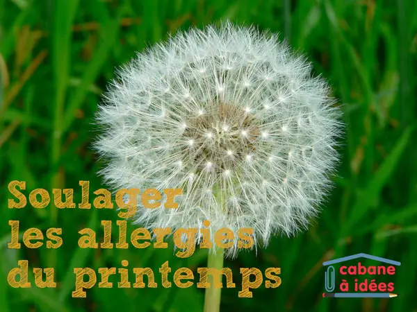 allergies-printemps