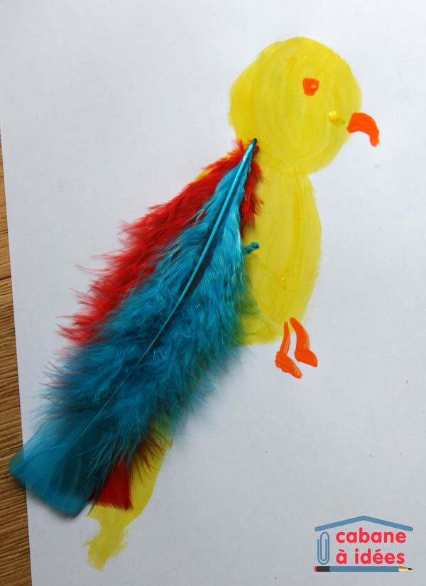 perroquet-peint-plumes-1