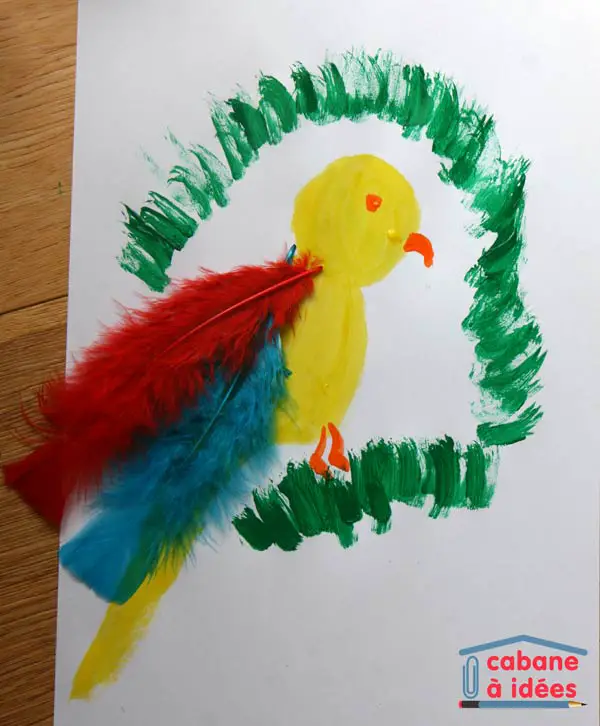 perroquet-peint-plumes