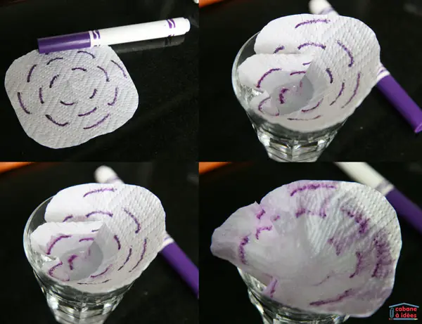 fleur-chromatographie-violet