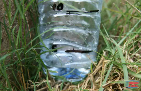 pluviometre-bouteille-eau