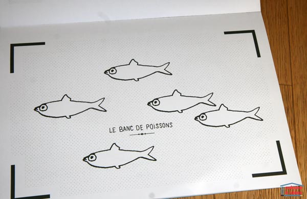 blink-book-poissons