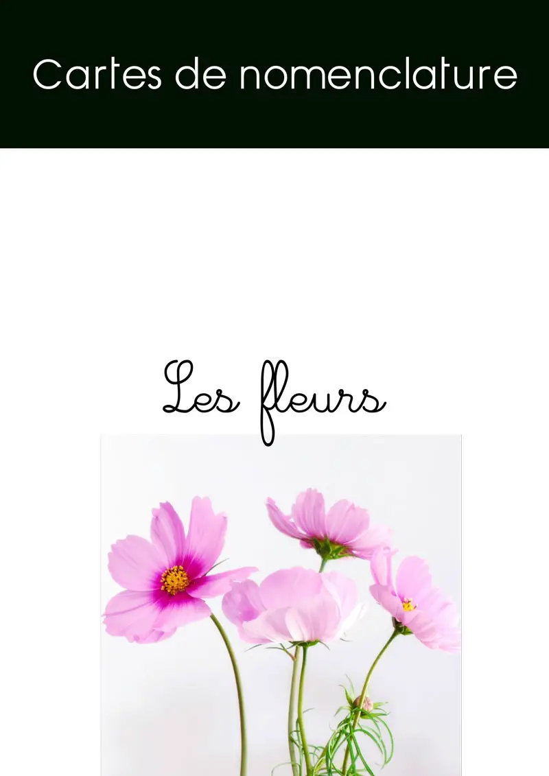 Cartes de Nomenclature fleurs