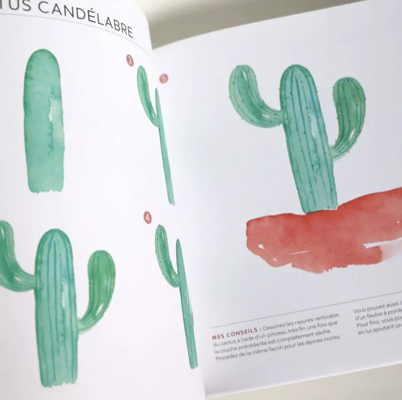 livre aquarelles en 5 étapes, exemple du cactus